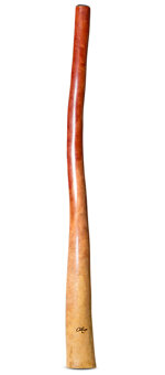 Tristan O'Meara Didgeridoo (TM379)
